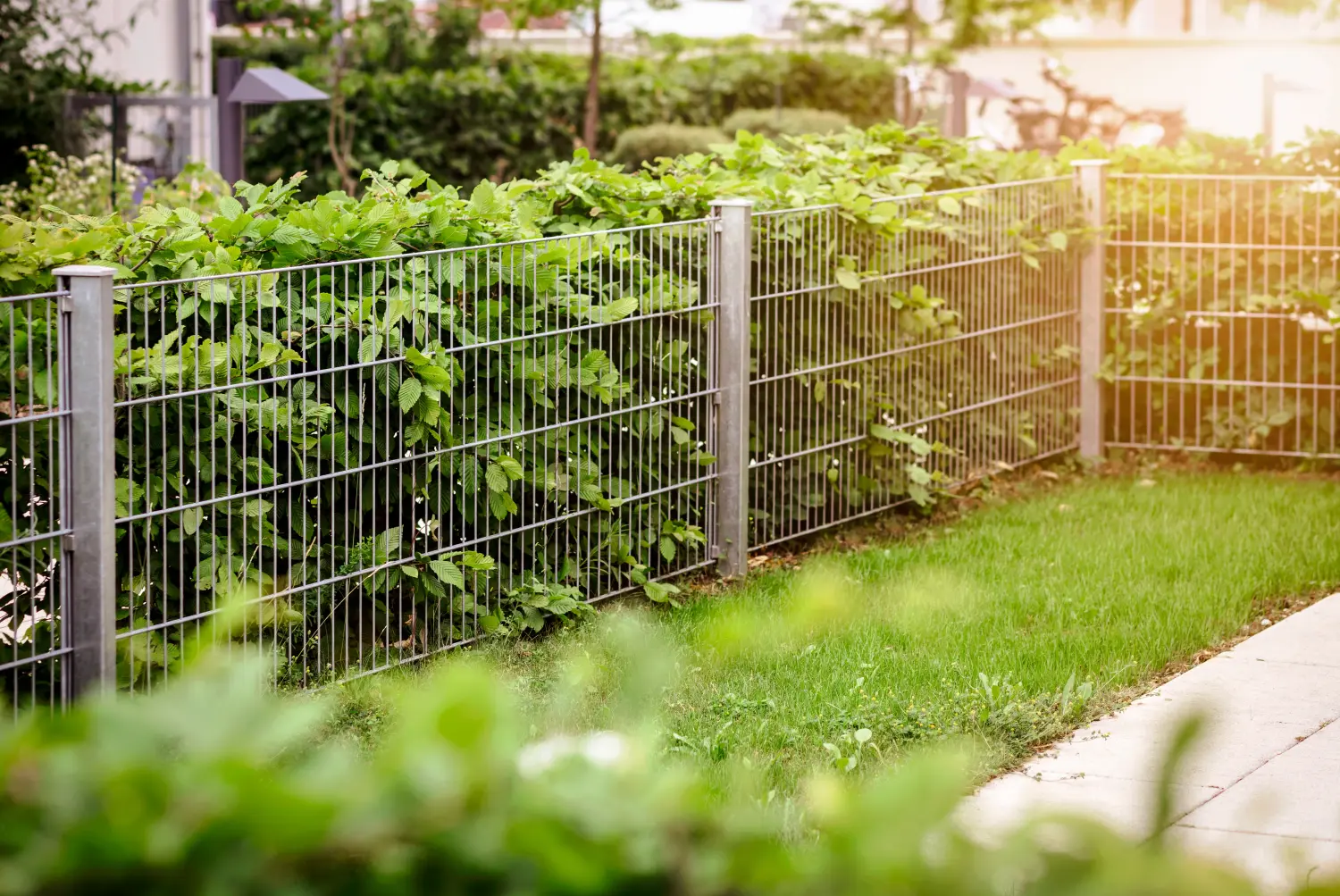 Hecke mit Edelstahl-Maschendrahtzaun des Patio-Gartens. Hecke oder grüne Blätterwand der modernen Landschaftsgestaltung.